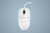 Active Key AK-PMJ1 mouse Ambidextrous USB Type-A Optical 1000 DPI