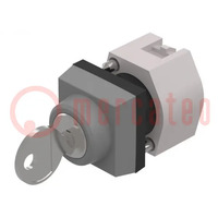 Switch: rotary with key; 22mm; Stabl.pos: 2; silver; none; IP65