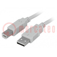 Kábel; USB 2.0; USB A dugó,USB B dugó; 5m; világosszürke