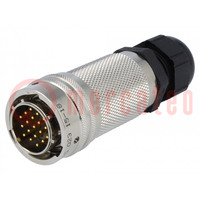 Connector: circular; plug; for cable; PIN: 19; male; soldering; 600V