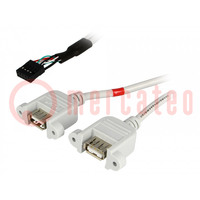 Adapter; USB 2.0; USB A socket x2,5pin pin header x2; 0.5m