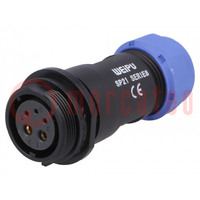 Plug; SP21; female; PIN: 5(2+3); IP68; 7÷12mm; 5A,30A; soldering