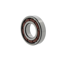 Deep groove ball bearings 6304 -TB-P6-C3