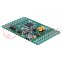 Dev.kit: Microchip AVR; ATXMEGA; prototype board