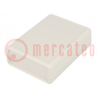 Enclosure: with panel; with flap on baterries; 1593; X: 66mm; ABS
