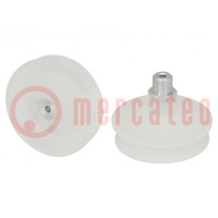 Suction cup; 63mm; G1/4 AG; Shore hardness: 55; 43.829cm3; FSGA