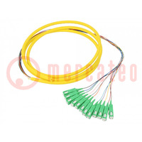 Optic fiber pigtail; SC/APC,fiber; 2m; Input: fiber x12