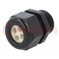 Cable gland; multi-hole; NPT3/4"; IP65; polyamide; black; 6mm