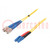 Fiber patch cord; FC/UPC,LC/UPC; 5m; Optical fiber: 9/125um; Gold