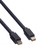 ROLINE Câble DisplayPort Mini DP M - Mini DP M, noir, 2 m