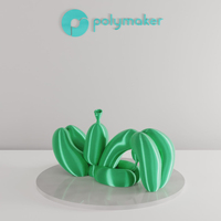Polymaker PA03011 3D-Druckmaterial Polyacticsäure (PLA) Grün 1 kg
