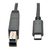 Tripp Lite U422-003-G2 Cable USB-C a USB Type-B (M/M) - USB 3.1, Gen 2 (10 Gbps), Compatible con Thunderbolt 3, 0.91 m [3 pies]