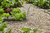 Gardena 18438-20 tuinslang 30 m Bovengronds Zwart