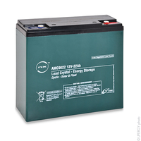 Batterie(s) Batterie lead crystal 6-CNFJ-22 12V 22Ah M5-F