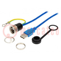 Adapter cable; USB 2.0; USB A socket,USB A plug; 2m; 1310; IP54