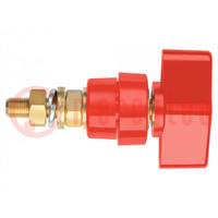 Laboratory clamp; red; 1kVDC; 100A; on panel,screw; brass; 81mm