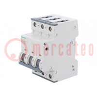 Interruptor magnetotérmico; 230/400VAC; Itrab: 10A; polos: 3; 10kA