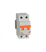 MAGNETOTERMICO RX3 P + N 32A-P