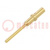 Contatto; maschio; 20; dorato; 20AWG; contatti torniti; sciolto