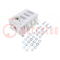 Switch-disconnector; for DIN rail mounting; 250A; GA