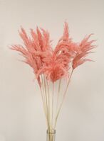 Artificial Dried Extra Fluffy Pampas Bunch - 85cm, Pink
