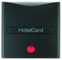 Hotelcard Schalter B.3B.7 anth mt KontrollfensterLichtauslass