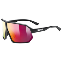 Uvex sportstyle 237 Multisportbrille Unisex Halbrandlos Schwarz