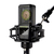 LEWITT LCT 441 FLEX Schwarz Studio-Mikrofon