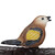 Relaxdays Gusseisen Vogeltränke mit Vogel, Gartendeko, Vogelfutterstelle, Wasserschale für Wildvögel, 24 cm breit, braun
