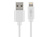 USB Sync- & Ladekabel für iPod, iPhone, iPad, weiß, 3m
