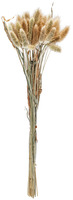 Trockenblumenbundle Ajda; 40 cm (L); natur