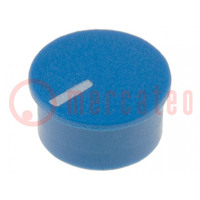 Cap; thermoplastic; push-in; Pointer: white; blue