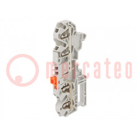 Conector: de carril; 0,2÷2,5mm2; vías: 1; bornas: 4; gris; SNK; 300V