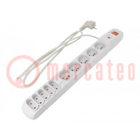 Plug socket strip: protective; Sockets: 10; 230VAC; 10A; grey
