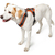 Hunter Maldon L Grau, Orange Nylon Hund Halftergeschirr