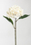 Botanic-Haus 206114-130 Künstliche Pflanze Indoor Künstliche Blütenpflanze