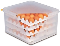 10 Lagen zu Eier-Box je 28 x 28 cm Polystyrol passend zu Artikel Nr. 82419