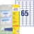 Tiefkühl-Etiketten, A4, 38,1 x 21,2 mm, 25 Bogen/1.625 Etiketten, weiß