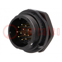 Socket; SP21; male; PIN: 12; IP68; 5A; soldering; 400V; 0.75mm2