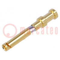 Contact; female; copper alloy; gold-plated; 0.37mm2; 22AWG; bulk