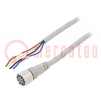 Connection lead; M12; PIN: 4; straight; 10m; plug; 250VAC; 4A; PVC