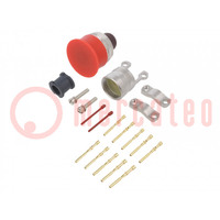 Conector: redondos; enchufe; para conducto; PIN: 10; hembra; PT/451