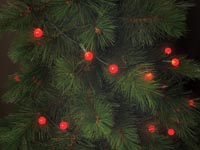 Cherry Light LED - 12 m - 120 rode lampjes - groene draad - 24 V