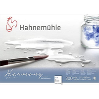 HAHNEMÜHLE HARMONY WATERCOLOUR ROUGH 12 SHEETS 300G A HAHNEMUHLE 10628840