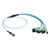 Black Box FOHC20M3MPLC12AQ-3R2 InfiniBand/fibre optic cable 3 m MPO/MTP 12x LC OM3 Aqua-kleur