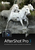 Corel AfterShot Pro 3 Grafischer Editor Voll 1 Lizenz(en)