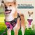 BLUZELLE Dog Harness for Small Dogs, Reflective Dog Vest Padded Pet Coat, Adjustable Chest Harness with Training Handle & Pocket for GPS Tracker Tag, No Pull Anti Pull Harness, ...