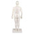 Akupunkturfigur männlich 45 cm, Anatomie Modell, Anatomische Lehrmittel