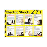 SIGNSLAB 420X590 ELEC SHOCK POSTER