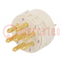 Connector: M23; contact insert; PIN: 7; male; soldering; 300V; 20A